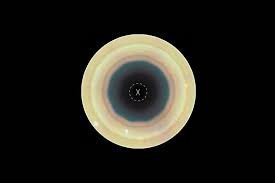 temp_image_1788476123.966933 Saturn South Pole Decagon: Hubble Uncovers a Mysterious 10-Sided Storm