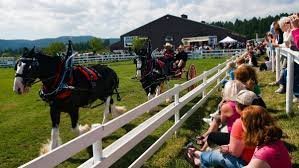 temp_image_1788584436.746293 Saanich Fair 2026: The Ultimate Guide to BC's Most Iconic Agricultural Celebration