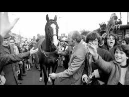 temp_image_1789950652.829066 The Mystery of Shergar: The Legendary Racehorse Who Vanished Without a Trace