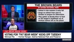 temp_image_1789996298.452905 Fat Bear Week: The Ultimate Battle for Winter Survival in Alaska