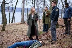 temp_image_1790046609.404461 Line of Fire: The Gripping New NBC Hybrid of Crime and Family Drama