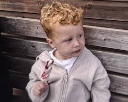 temp_image_1790339920.953755 The Heartbreaking Tragedy of Noah Woods: A Community's Loss and Lasting Tributes